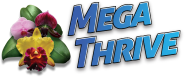 Mega Thrive